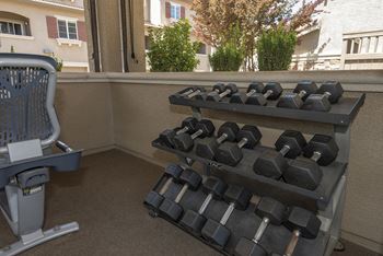 A set of dumbbells on a rack in a room.